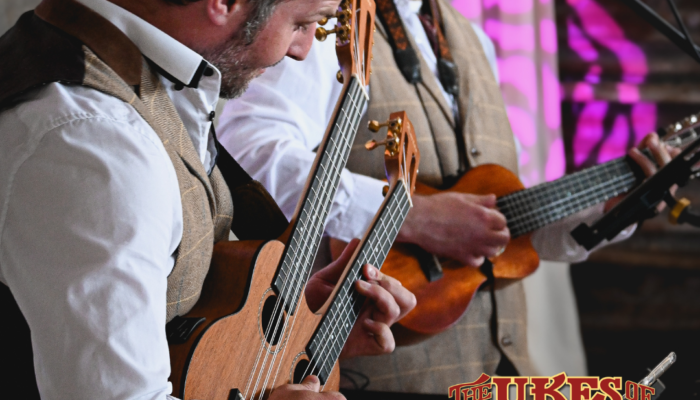 Incredible musicianship from our wandering performers Incredible musicianship from our wandering performers